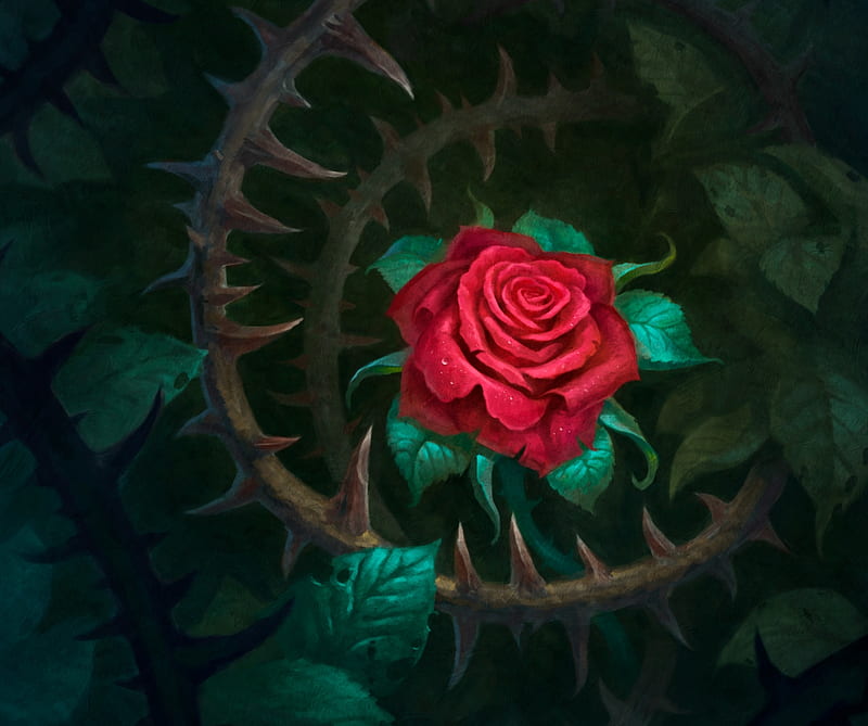 Rosa